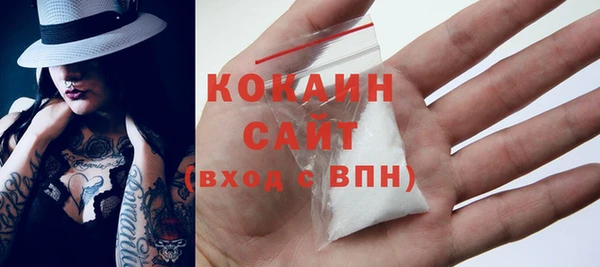 прущие грибы Пересвет