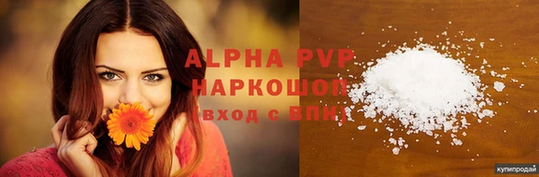 ПСИЛОЦИБИНОВЫЕ ГРИБЫ Осинники