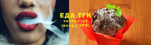 ПСИЛОЦИБИНОВЫЕ ГРИБЫ Осинники
