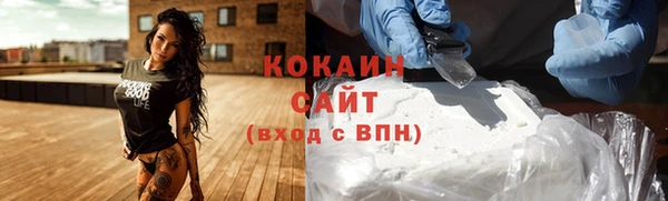 ГАЛЛЮЦИНОГЕННЫЕ ГРИБЫ Пестово