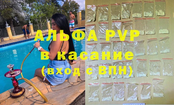 ПСИЛОЦИБИНОВЫЕ ГРИБЫ Осинники
