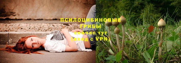 ПСИЛОЦИБИНОВЫЕ ГРИБЫ Осинники