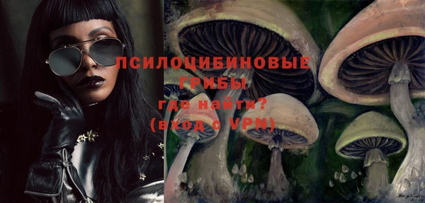 ПСИЛОЦИБИНОВЫЕ ГРИБЫ Осинники