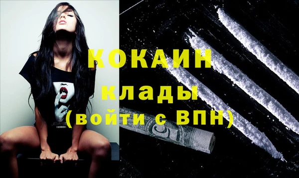 ПСИЛОЦИБИНОВЫЕ ГРИБЫ Осинники