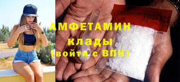 ПСИЛОЦИБИНОВЫЕ ГРИБЫ Осинники
