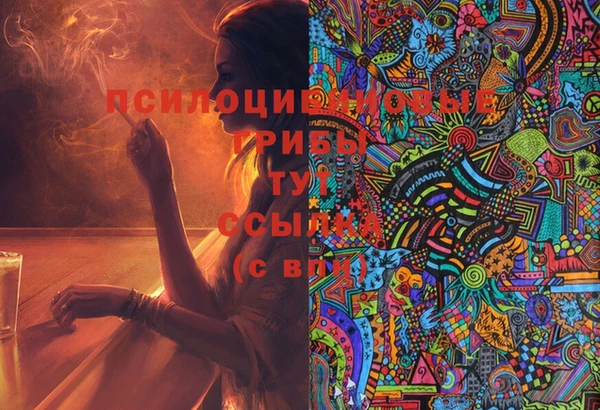 ПСИЛОЦИБИНОВЫЕ ГРИБЫ Осинники
