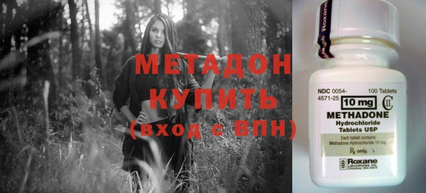 ПСИЛОЦИБИНОВЫЕ ГРИБЫ Осинники