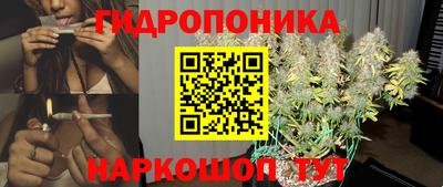 соль ск Аргун