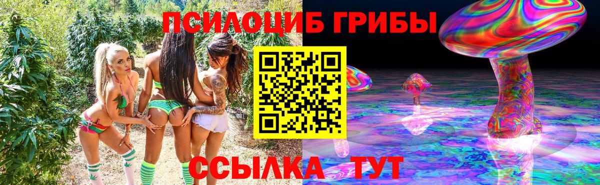 Псилоцибиновые грибы прущие грибы Бугуруслан